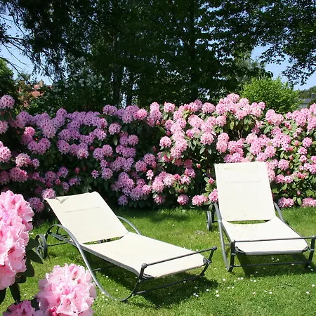 Διαμέρισμα Edelweiss *