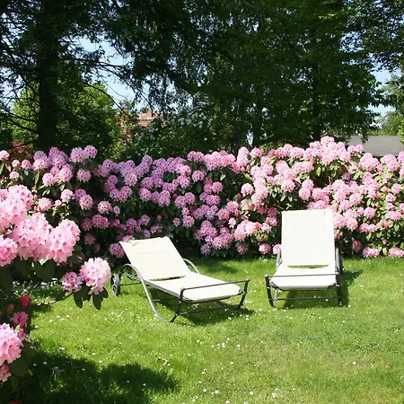 Апартаменты Edelweiss *